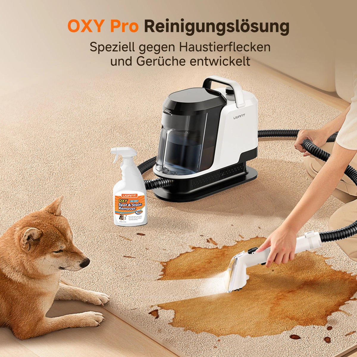 UWANT Portable Carpet & Spot Cleaner Y100